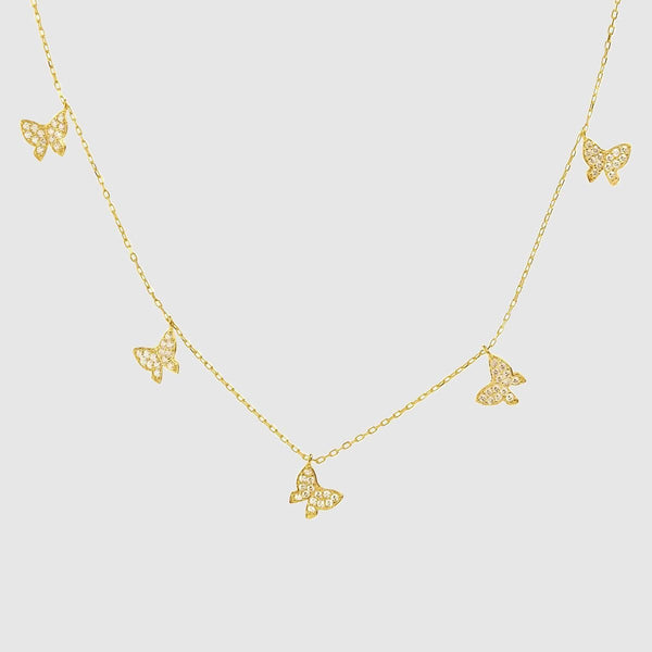 Dorado